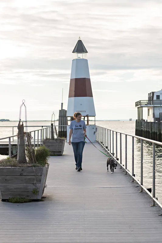 color photo of a boston terrier mix dog walking down a dock with her female owner. The photo was taken by Laura Pea Photography, a Long Island pet photographer. 