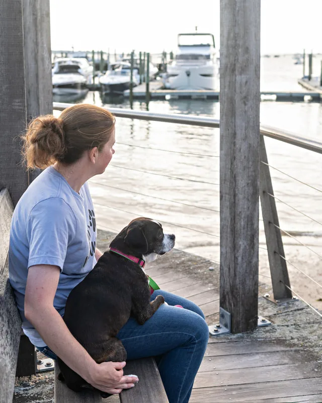color photo of a boston terrier mix dog sitting with her female owner looking out over the water at a harbor. The photo was taken by Laura Pea Photography, a Long Island pet photographer. 