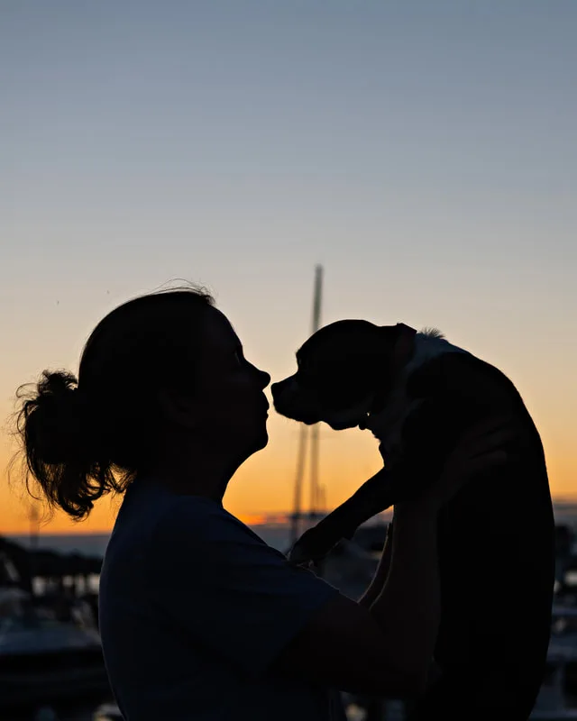 color photo of a boston terrier mix dog and her female owner looking at each other in silhouette against the sunset. The photo was taken by Laura Pea Photography, a Long Island pet photographer. 
