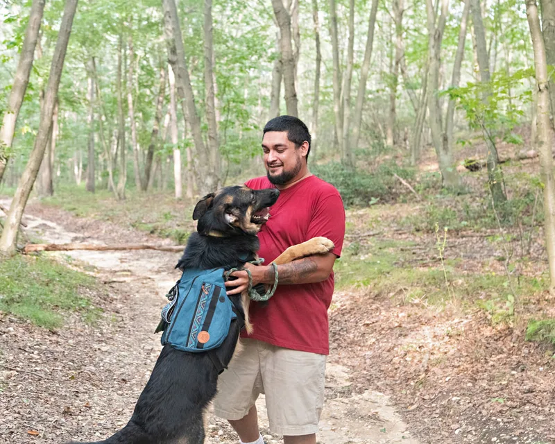 Color photo of a German Shepherd Dog in the woods with his owner. The photo was taken by Laura Paesano of Laura Pea Photography, a Long Island based pet photographer. 