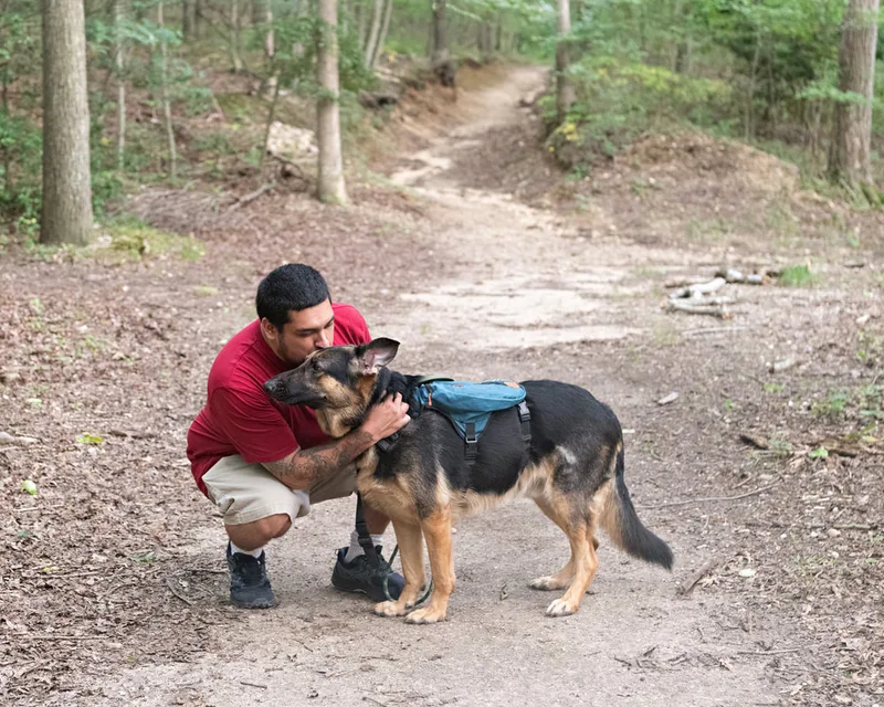 Color photo of a German Shepherd Dog in the woods with his owner. The photo was taken by Laura Paesano of Laura Pea Photography, a Long Island based pet photographer. 