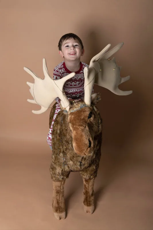 A color photo of a four year old white boy sitting on top of a big stuffed moose in front of a light brown paper backdrop. The photo was taken by Laura Pea Photography, a Long Island based photographer. 