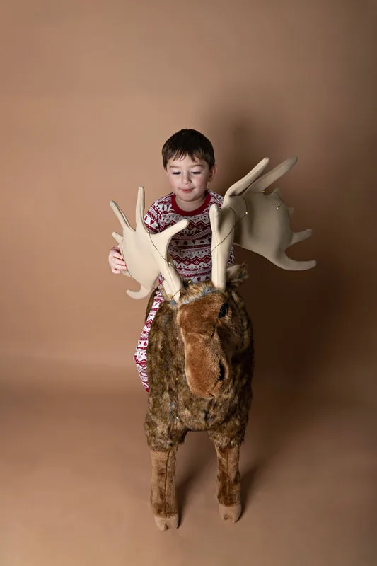 A color photo of a four year old white boy sitting on top of a big stuffed moose in front of a light brown paper backdrop. The photo was taken by Laura Pea Photography, a Long Island based photographer. 