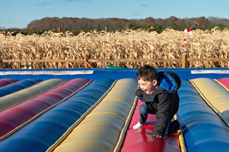 photo of a toddler boy jumping on a jump pad