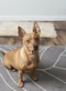 carousel chooser