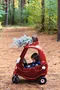 carousel chooser