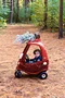 carousel chooser