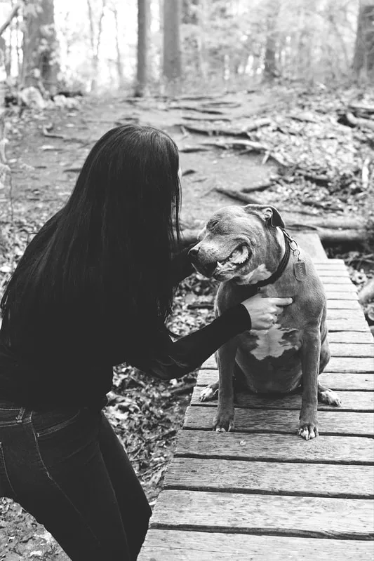 A black and white photo of a pit bull and her owner looking at each other in the forest