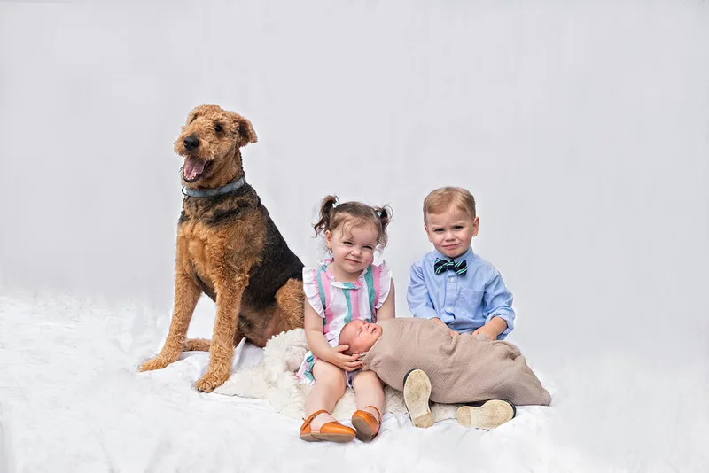 portrait of an airedale terrier dog with two toddler twins, a boy and a girl, and a newborn baby boy