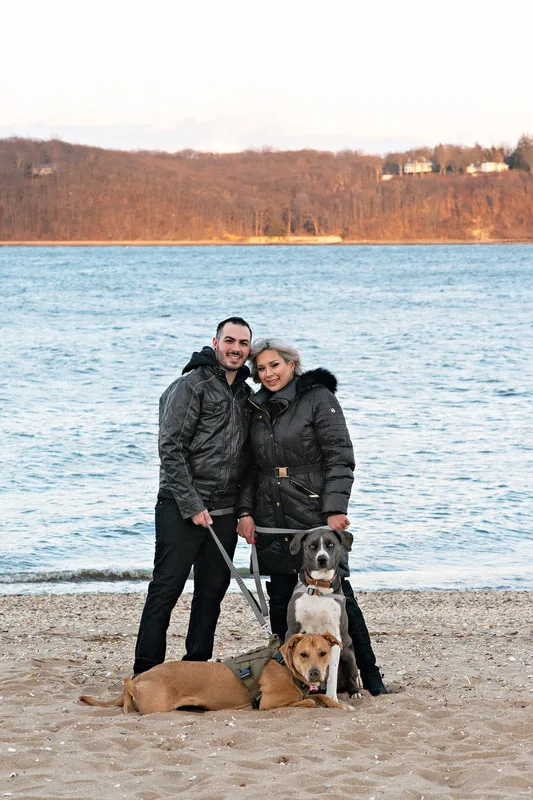 photo of a man, a woman, a grey and white labrador pit bull mix dog and a yellow labrador pit bull mix dog standing on beach