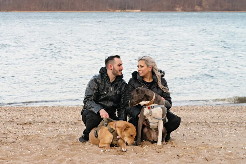 photo of a man, a woman, a grey and white labrador pit bull mix dog and a yellow labrador pit bull mix dog crouching on a beach