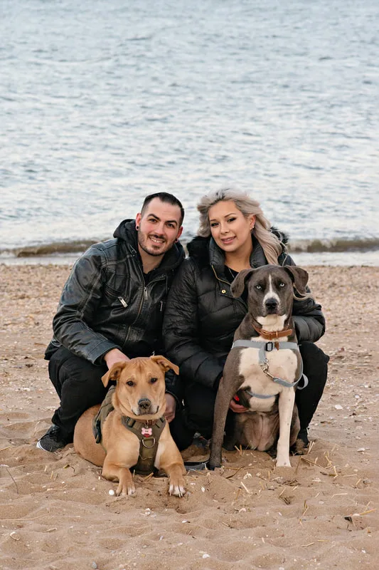 photo of a man, a woman, a grey and white labrador pit bull mix dog and a yellow labrador pit bull mix dog crouching on a beach