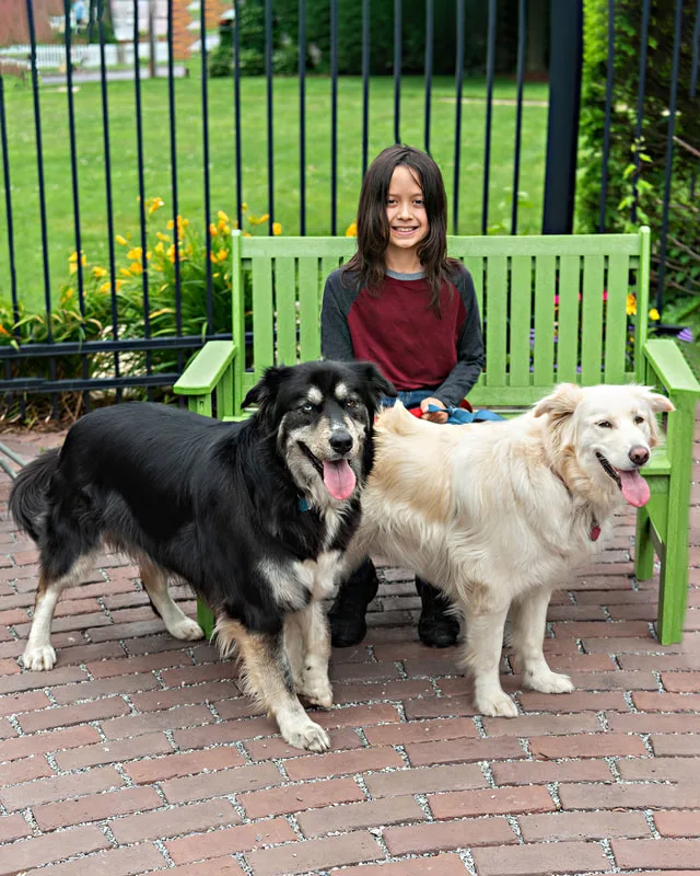 photo of a boy with two husky mix dogs 