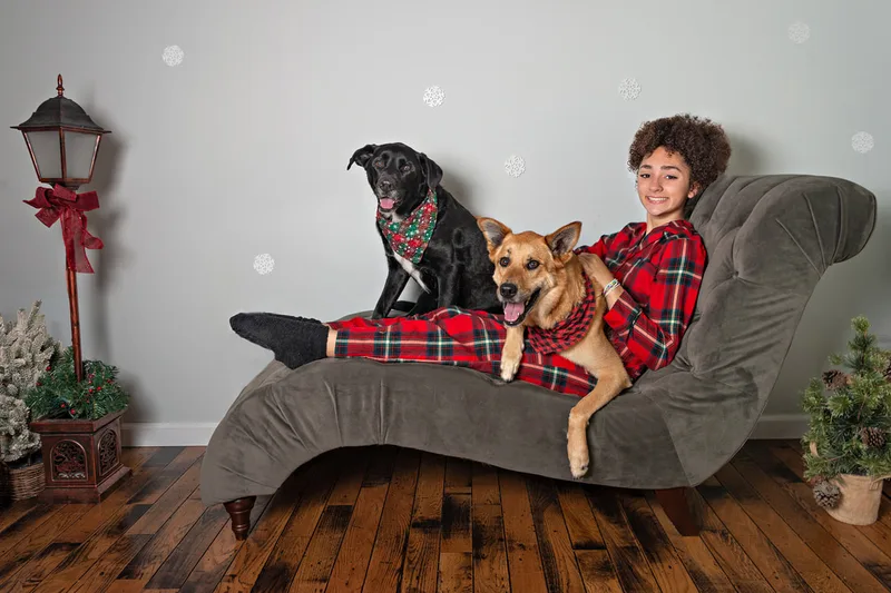 Color photo of a teenage girl wearing Christmas pajamas sitting on a grey couch with her two dogs, a black labrador retriever mix and a fawn shepherd mix, taken in a photo studio against a snowflake background. The photo was taken by Laura Pea Photography, a Long Island pet photographer. 