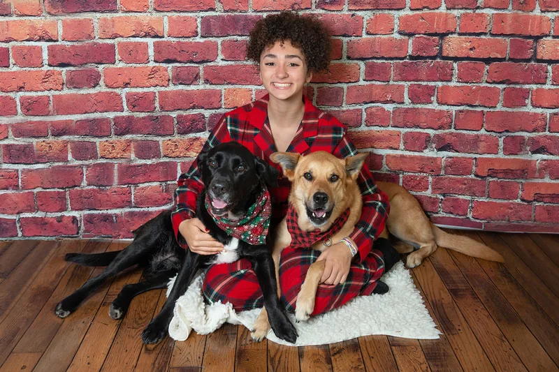 Color photo of a teenage girl wearing Christmas pajamas sitting on a wood floor with her two dogs, a black labrador retriever mix and a fawn shepherd mix, taken in a photo studio against a red brick background. The photo was taken by Laura Pea Photography, a Long Island pet photographer. 