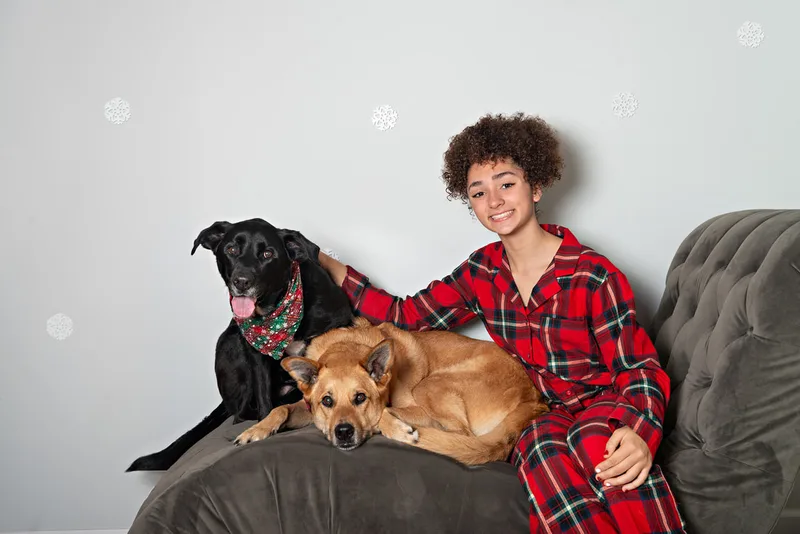 Color photo of a teenage girl wearing Christmas pajamas sitting on a grey couch with her two dogs, a black labrador retriever mix and a fawn shepherd mix, taken in a photo studio against a snowflake background. The photo was taken by Laura Pea Photography, a Long Island pet photographer. 
