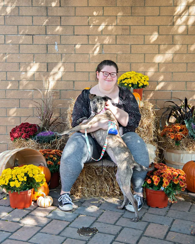 color photo of a fall display with hay bales, mums, pumpkins and a young girl with her dog