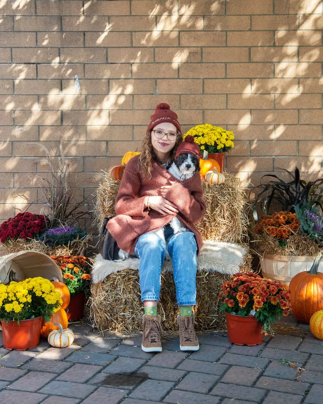 color photo of a fall display with hay bales, mums, pumpkins and a woman with her dog