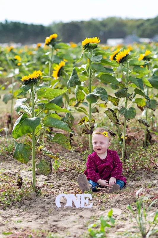 one year old baby girl sitting in a sunflower field on long island. Photo taken by Laura Pea Photography