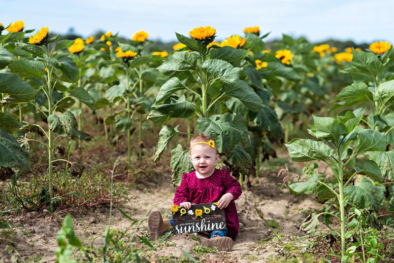 one year old baby girl sitting in a sunflower field on long island. Photo taken by Laura Pea Photography