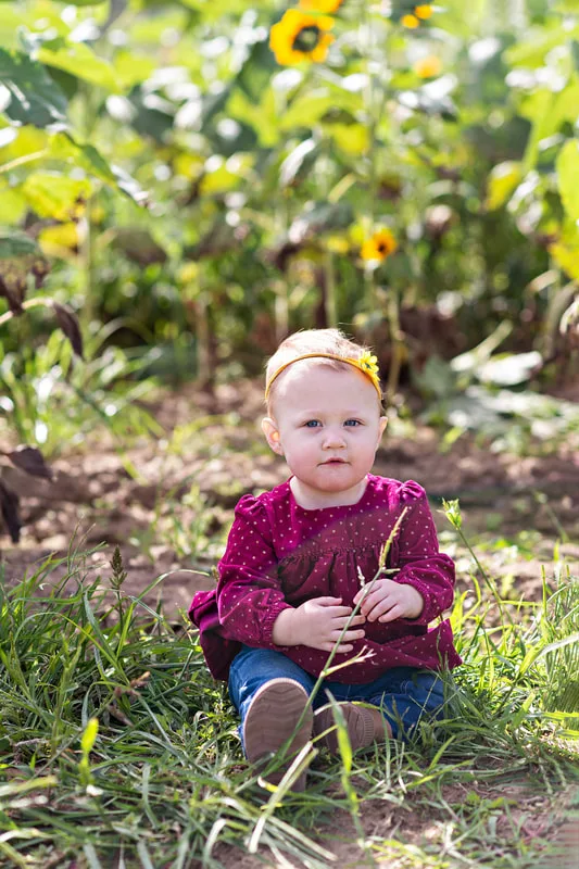 one year old baby girl sitting in a sunflower field on long island. Photo taken by Laura Pea Photography