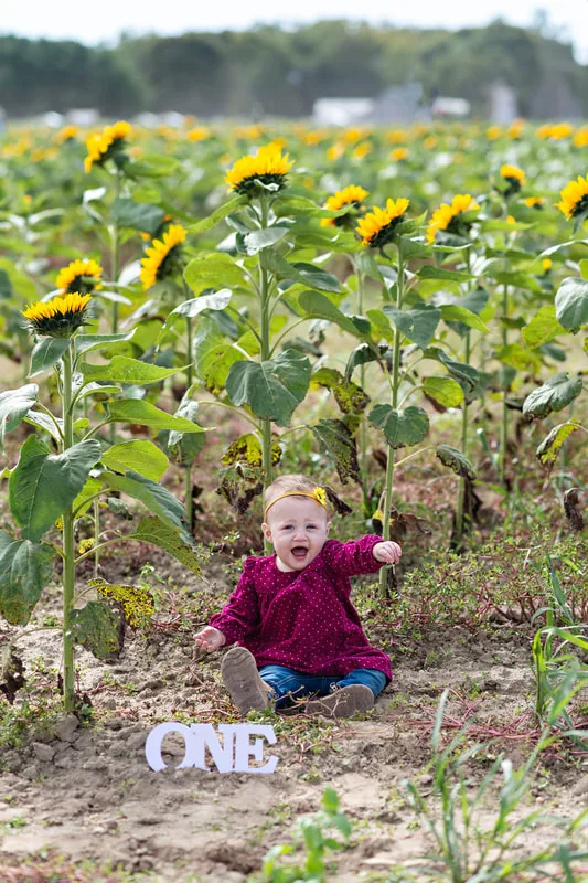 one year old baby girl sitting in a sunflower field on long island. Photo taken by Laura Pea Photography