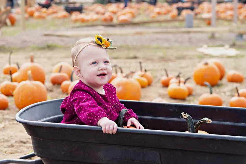 photo of a one year old baby girl sitting in a pumpkin patch on Long Island. Photo taken by Laura Pea Photography