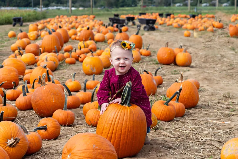 photo of a one year old baby girl sitting in a pumpkin patch on Long Island. Photo taken by Laura Pea Photography