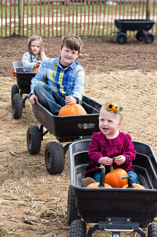 photo of three siblings sitting in a pumpkin patch on Long Island. Photo taken by Laura Pea Photography