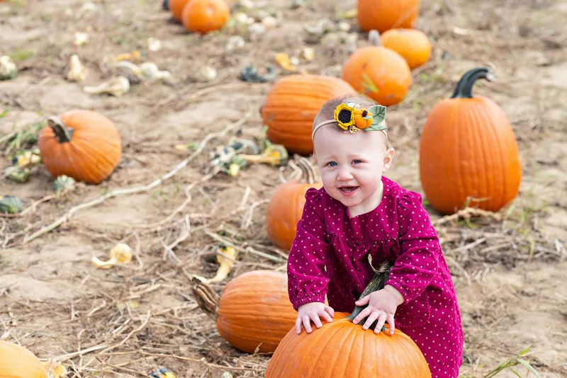 photo of a one year old baby girl sitting in a pumpkin patch on Long Island. Photo taken by Laura Pea Photography