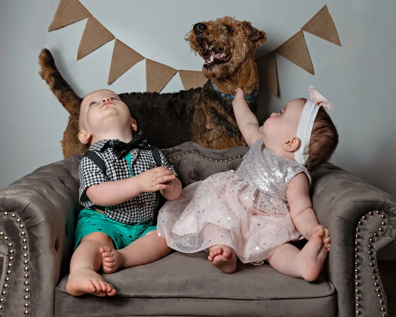 One year old twin boy and girl with their Airedale terrier dog for first birthday photos 
