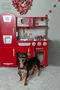 carousel chooser