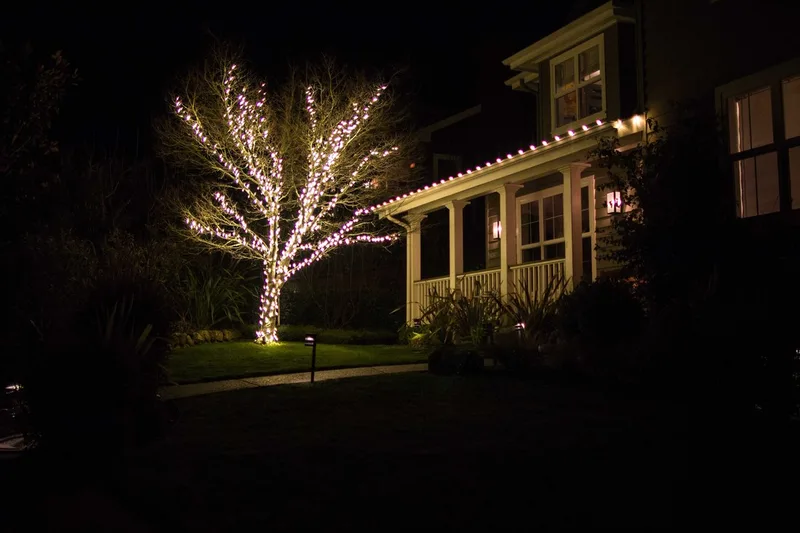 Marin Christmas light installer