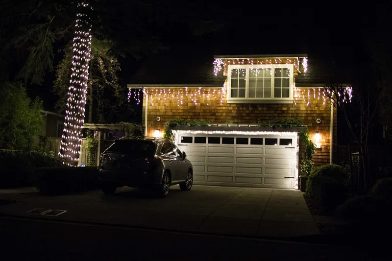Professional Marin Christmas light display
