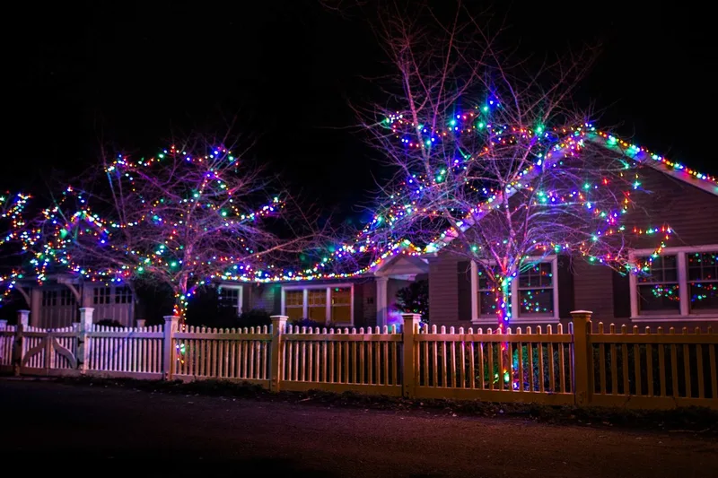 Marin christmas light installation