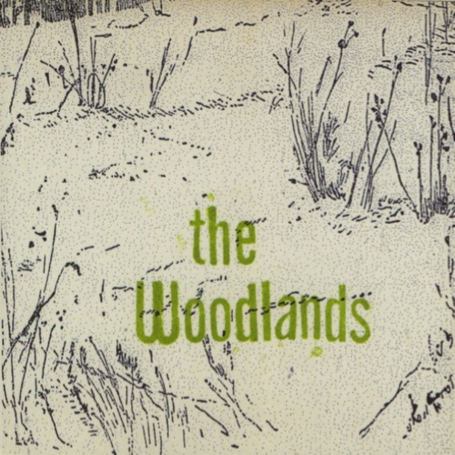 THE WOODLANDS『The Woodlands』