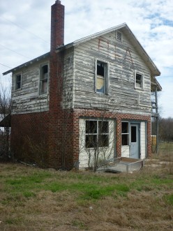 Picture