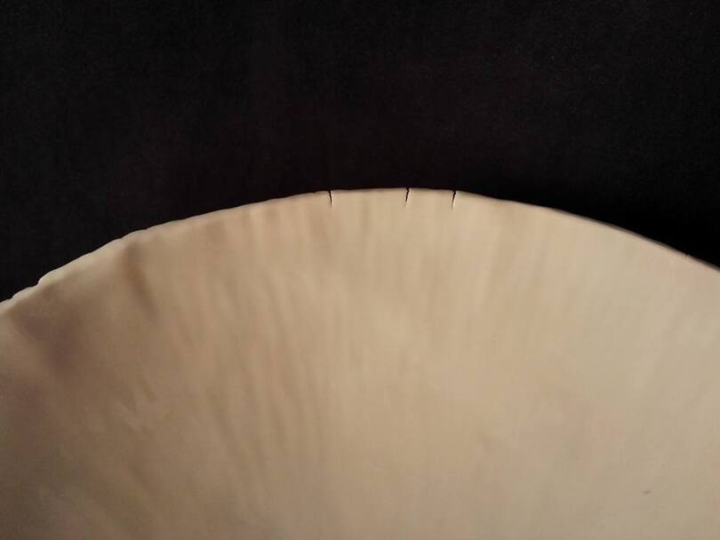 Small cracks on the rim of this porcelain bowl. 