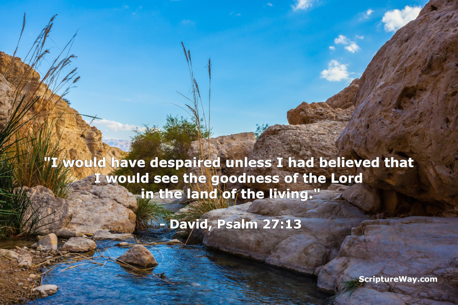 The Goodness of the Lord - Psalm 27:13 Meaning