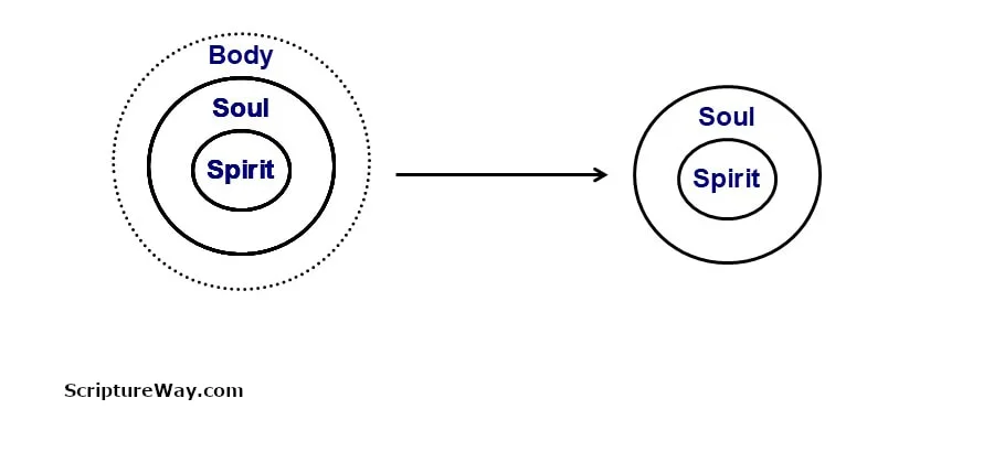 Figure 1: When we die, our soul and spirit (shown as concentric circles within the body) leave our physical body