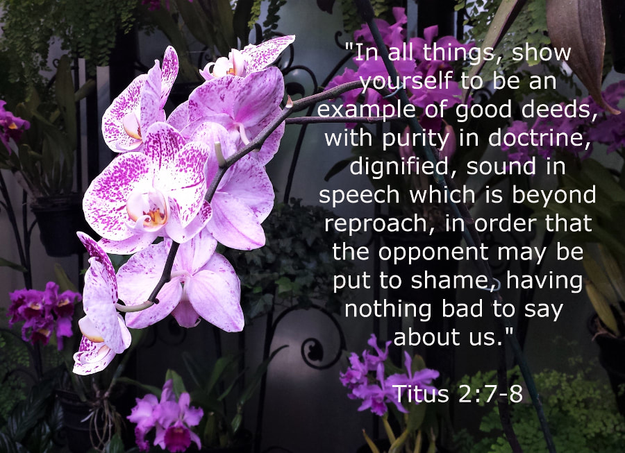 "Biblical Principles of Sound Speech - Be a Good Example"