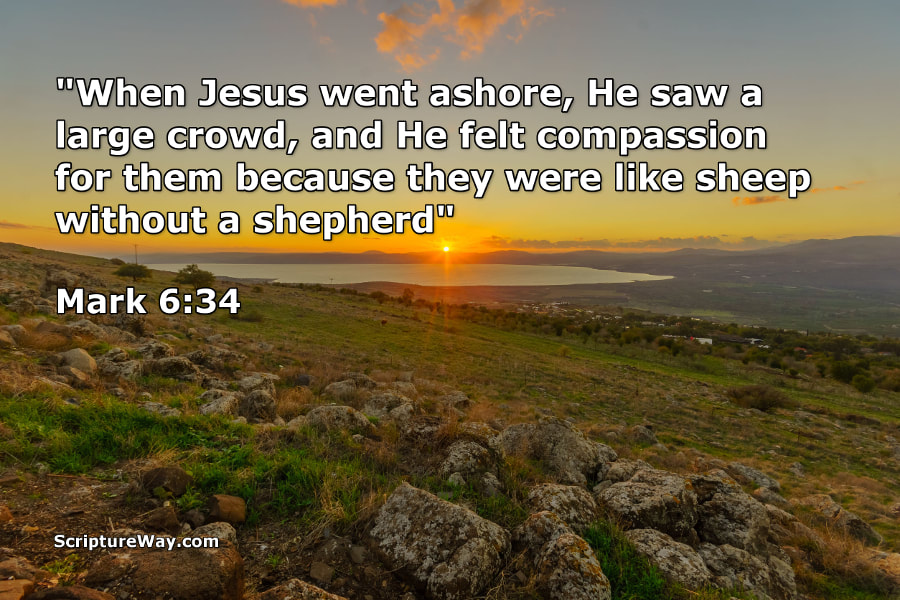 The Compassion of Jesus