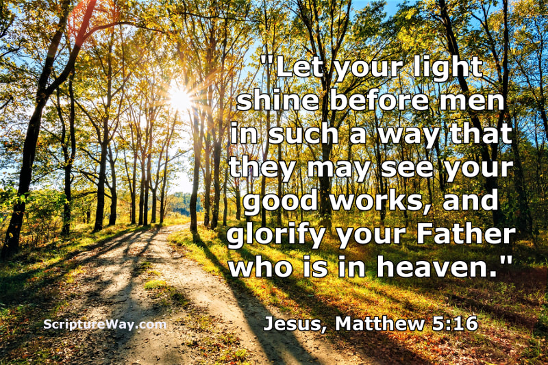 Characteristics of a Child of God - Part 2