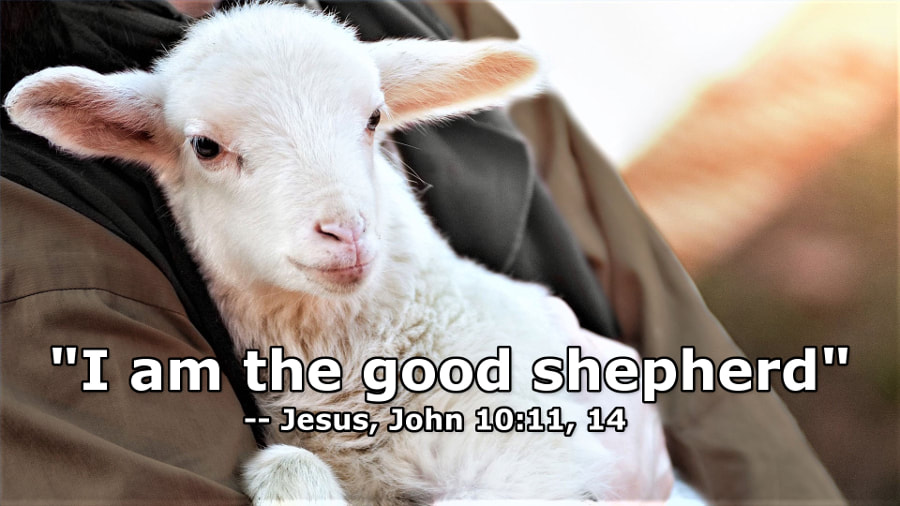 Jesus is the Good Shepherd