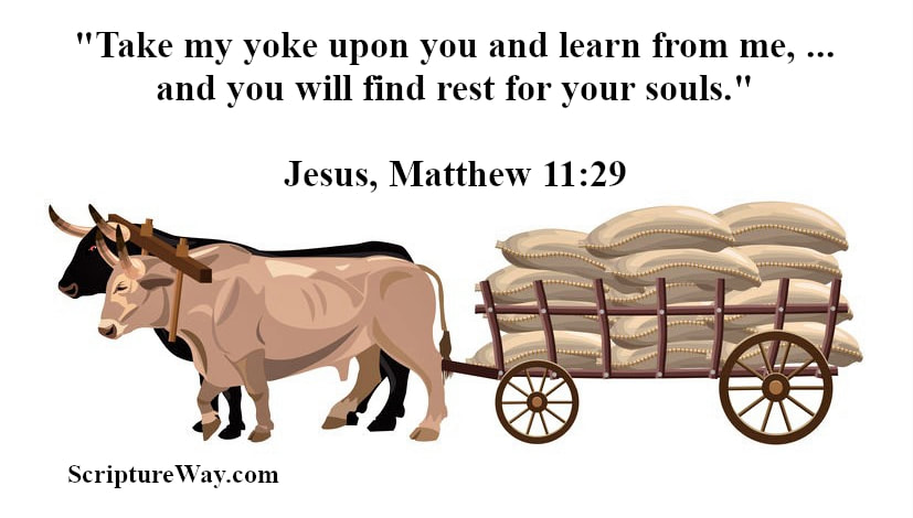 Find Rest for Your Souls