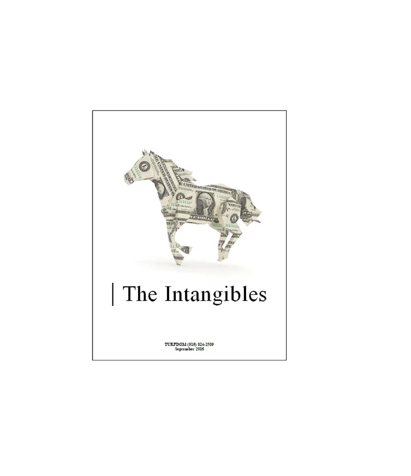 The Intangibles