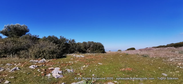 hills of kusadasi