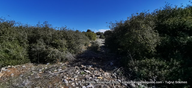 hiking-trails-around-ephesus