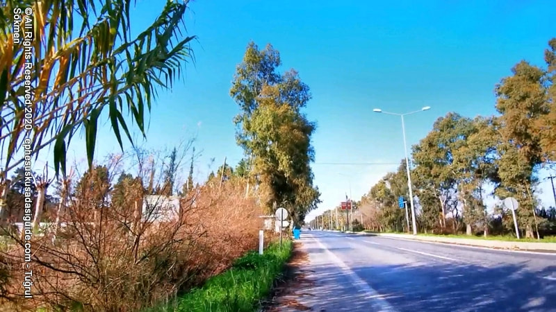 walking-to-ephesus-from-selcuk