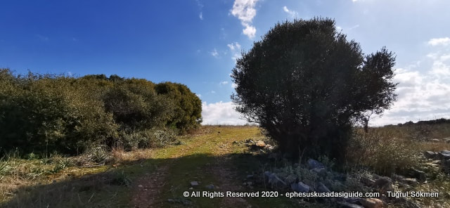 hike-on-the-hills-of-kusadasi